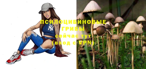мяу мяу кристалл Новодвинск