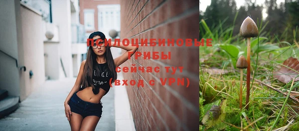mix Новозыбков